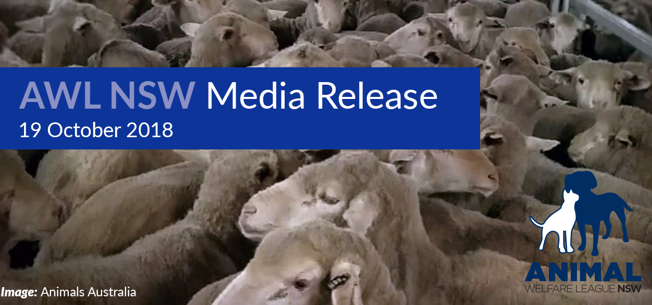 Media Releases