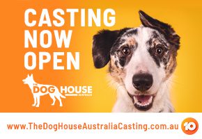 The Dog House Australia | Animal Welfare League NSW