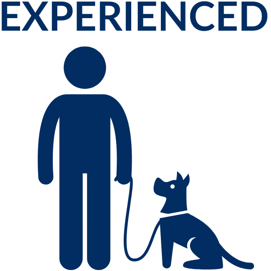 Experienced dog owner