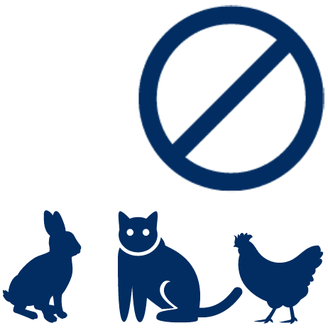 No small animals