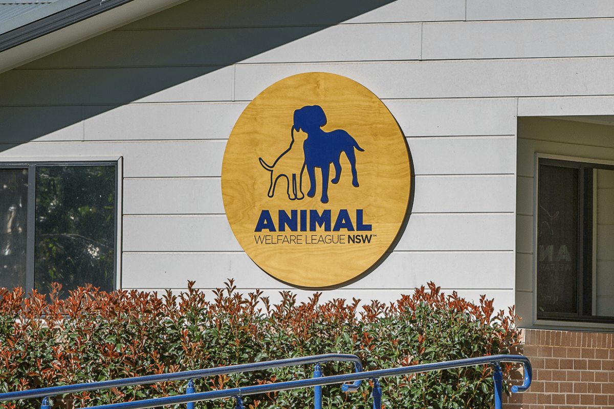 AWL NSW’s Transformative Animal Care Precinct